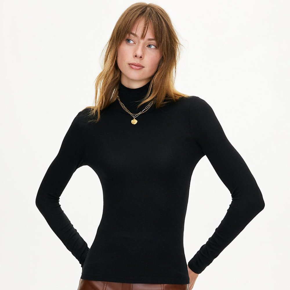 ARITZIA Wilfred Free Only Soft Longsleeve Ribbed Turtleneck - Black Medium